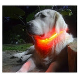 Safety Pet Collar With LED And Printed Design By Project Pet Lovers Club