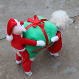 Santa Claus Dog
