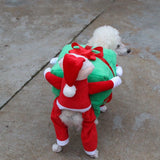 Santa Claus Dog